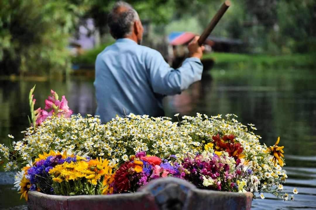 Green View Group Of Houseboats Σριναγκάρ Εξωτερικό φωτογραφία